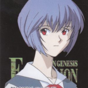 Neon Genesis Evangelion P.P Part 1 1996 Amada